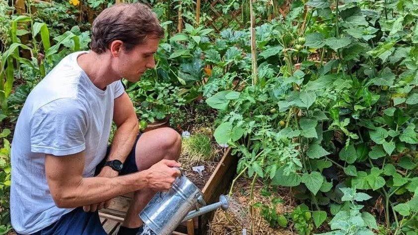 Ce Bordelais cultive une cinquantaine de fruits et légumes sur sa terrasse de 15m2