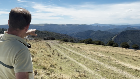 La forêt d’Irati : un écosystème qui pourrait résister aux aléas climatiques